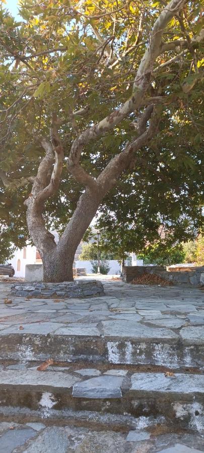 Apartment Dk Square Andros Town